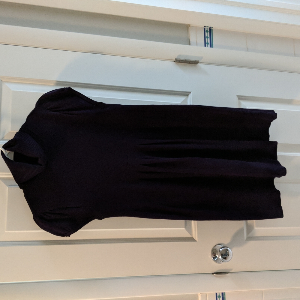 No boundaries velvet purple sweater dress